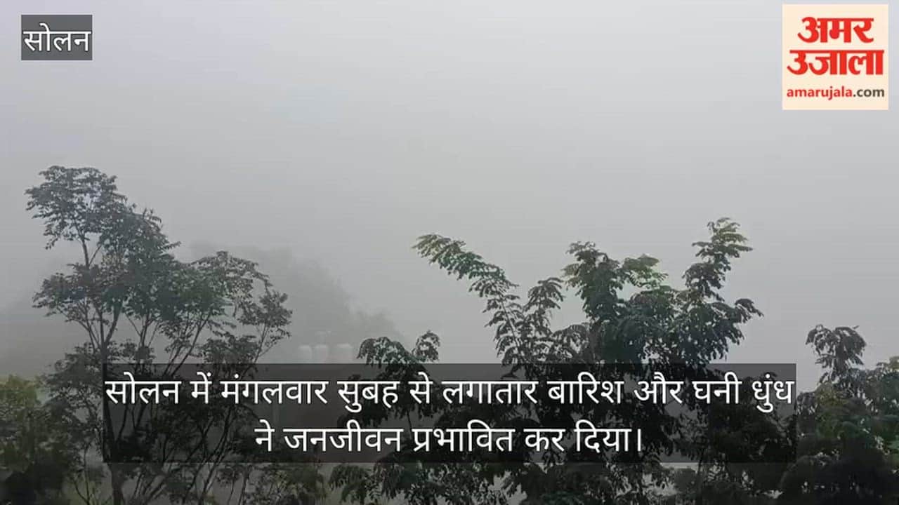 solan heavy rain dense fog school children weather update