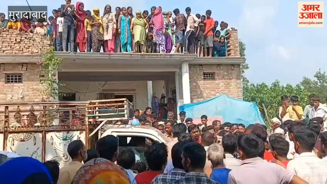 Leopard attacks woman working in sugarcane field; devours her head and face