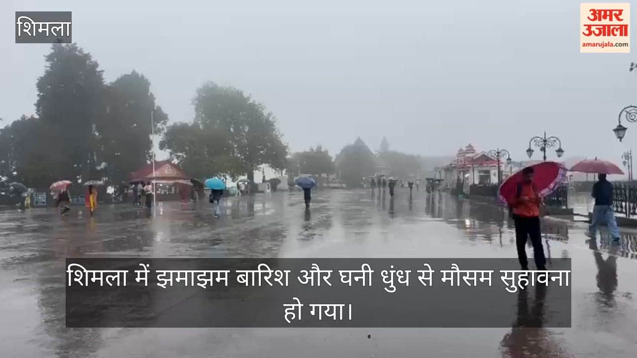 shimla rain fog heavy rain alert till 9 august