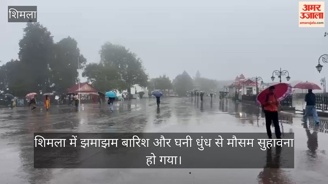 shimla rain fog heavy rain alert till 9 august