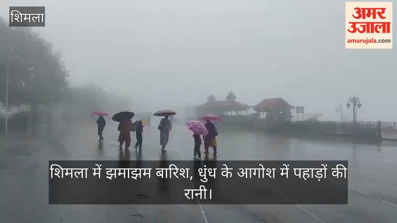 Heavy rain in Shimla; 'Queen of Hills' shrouded in mist.