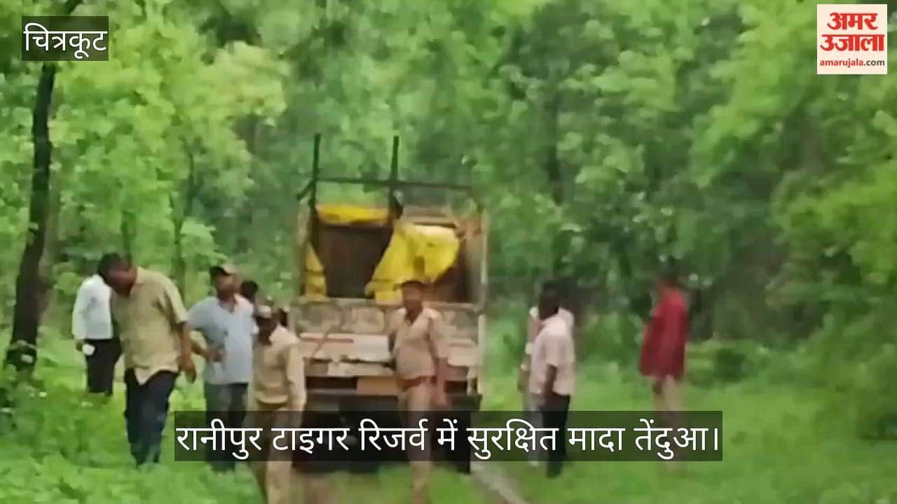 Chitrakoot-Female-Leopard-Released-Ranipur-Tiger-Reserve
