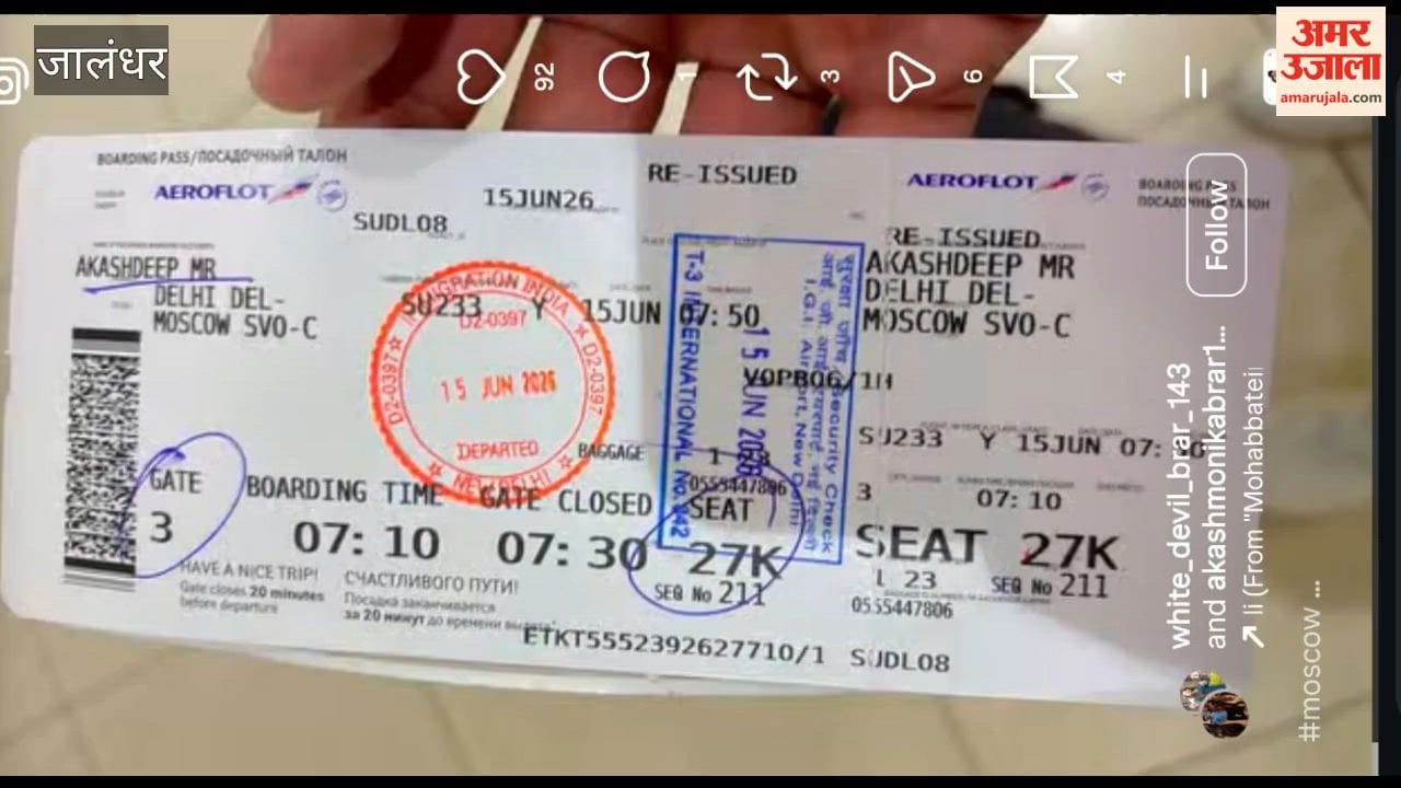 Video Of Jalandhar Man Lured With Fruit Picking Job In Russia But Abandoned In Forest