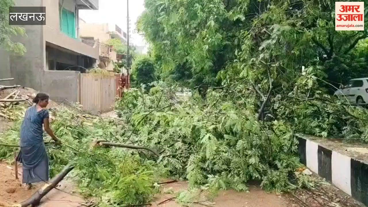 लखनऊ में गोमती नगर के विकास खंड में सर्विस रोड पर बारिश के बीच गिरा पेड़