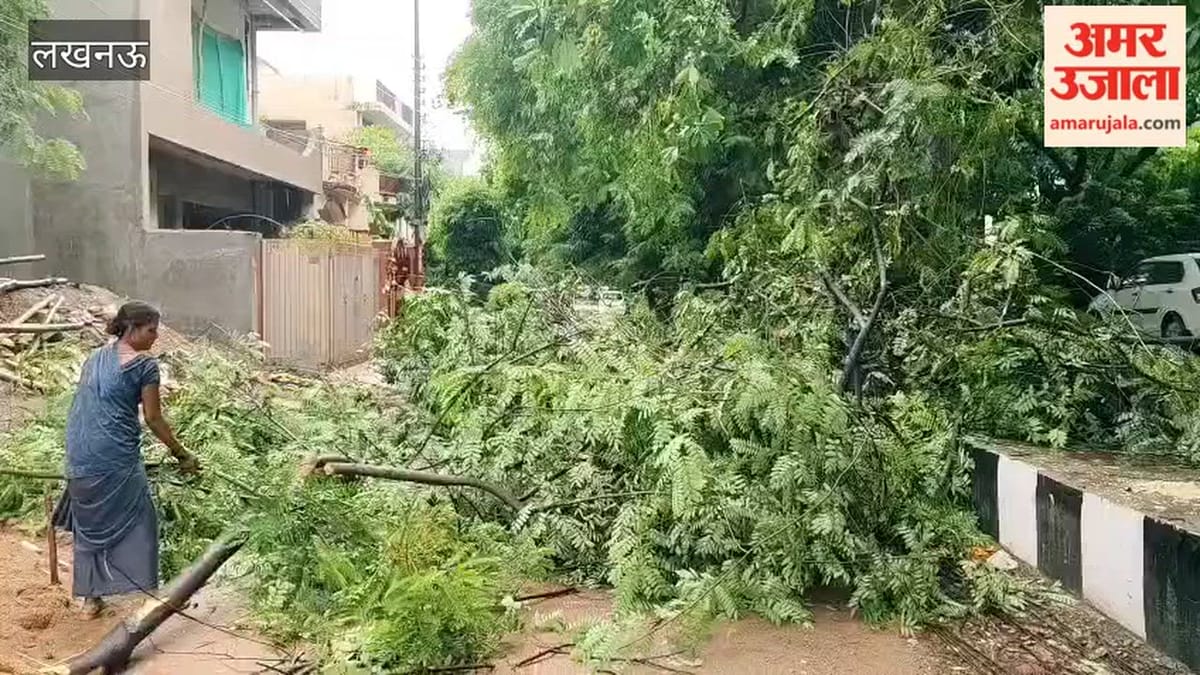 लखनऊ में गोमती नगर के विकास खंड में सर्विस रोड पर बारिश के बीच गिरा पेड़