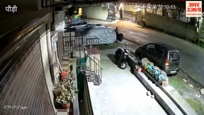 Pauri:Panic in Srinagar due to the movement of a leopard and its cub; visuals captured on CCTV