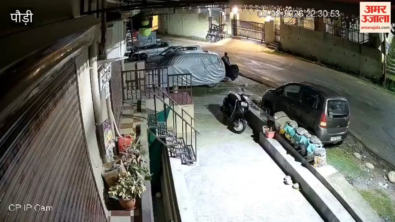 Pauri:Panic in Srinagar due to the movement of a leopard and its cub; visuals captured on CCTV