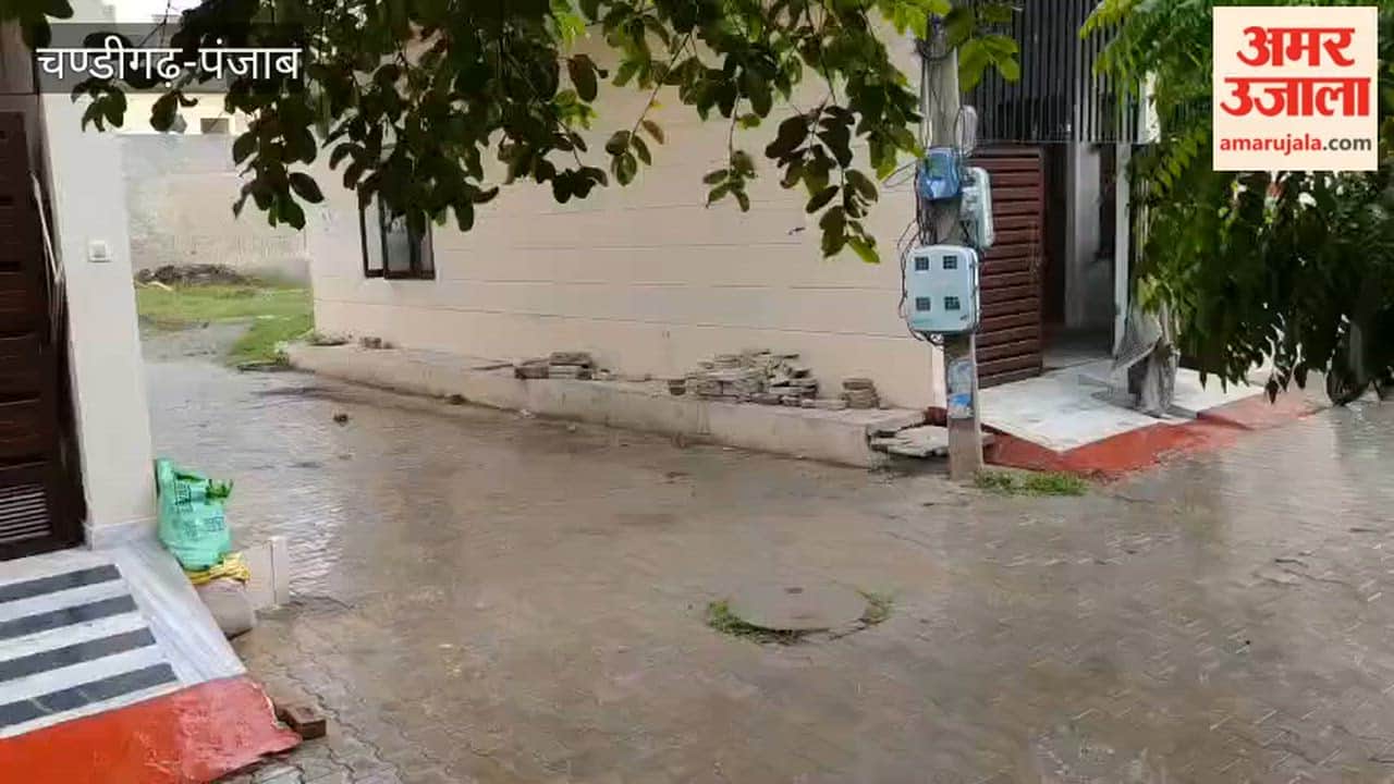 Rain in Firozpur