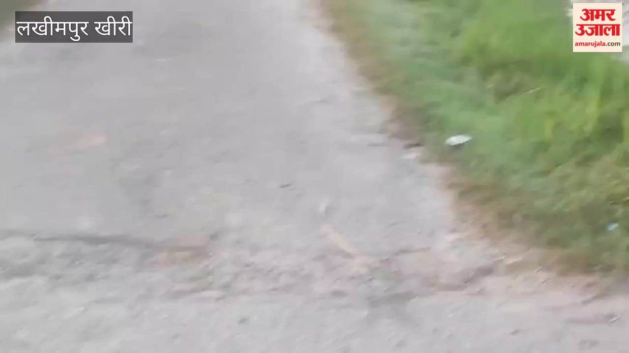 crocodile spotted on Kachnara Road panic among villagers in Lakhimpur Kheri