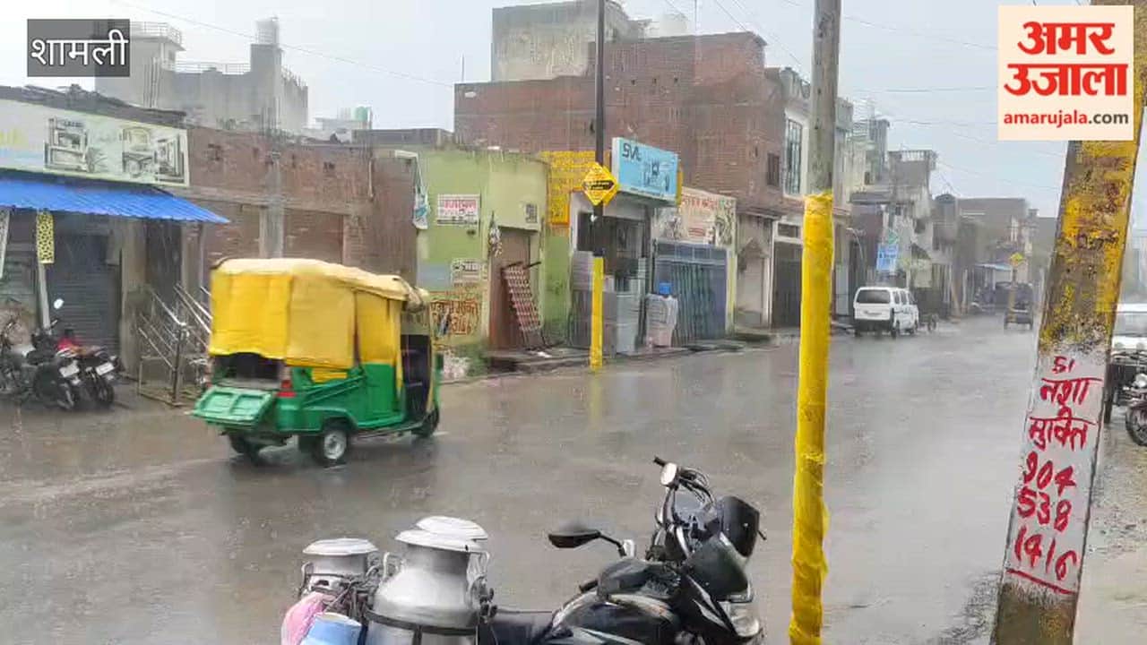 Shamli: Heavy Rain Brings Relief, Causes Waterlogging in Shamli