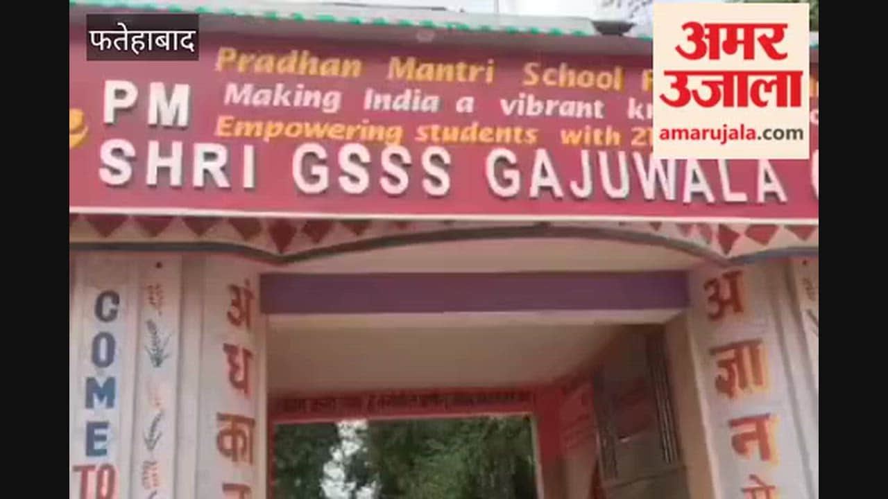 Complainant in Gajuwala tree-felling case alleges harassment to force a compromise BDPO states statements from both parties have been recorded; investigation report to be submitted within 2-3 days