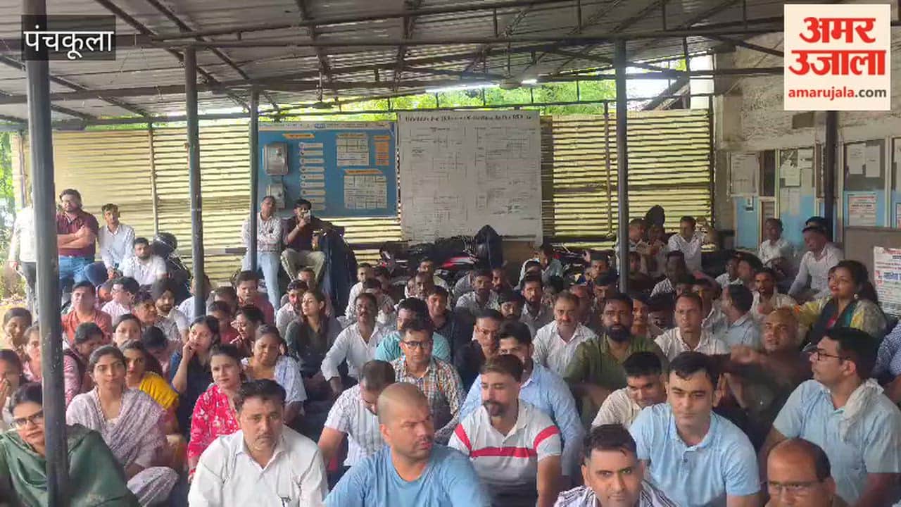 Electricity board employees staged a protest at the Panchkula electricity board office over their demands.