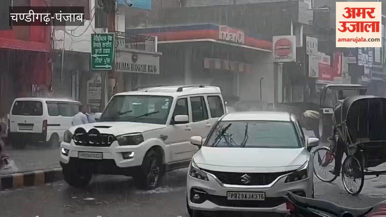 Moga city in bad shape after an hour of rain; waterlogging on roads and filth scattered around