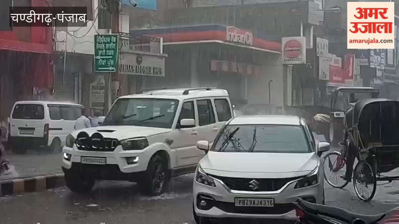 Moga city in bad shape after an hour of rain; waterlogging on roads and filth scattered around