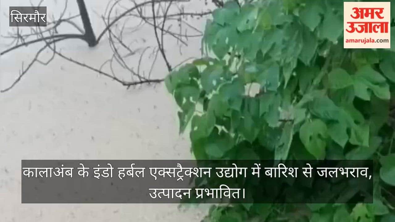 Rainwaterlogging at Indo Herbal Extraction Industry in Kala Amb, affecting production