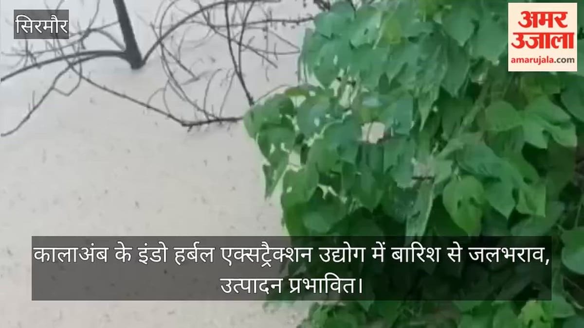 Video: कालाअंब के इंडो हर्बल एक्सट्रैक्शन उद्योग में बारिश से जलभराव, उत्पादन प्रभावित