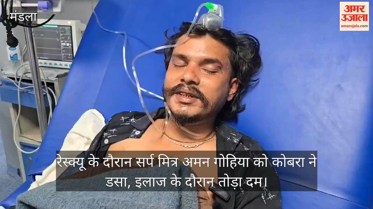 Snake friend Aman Gohiya was bitten by a cobra during a rescue operation and died during treatment.