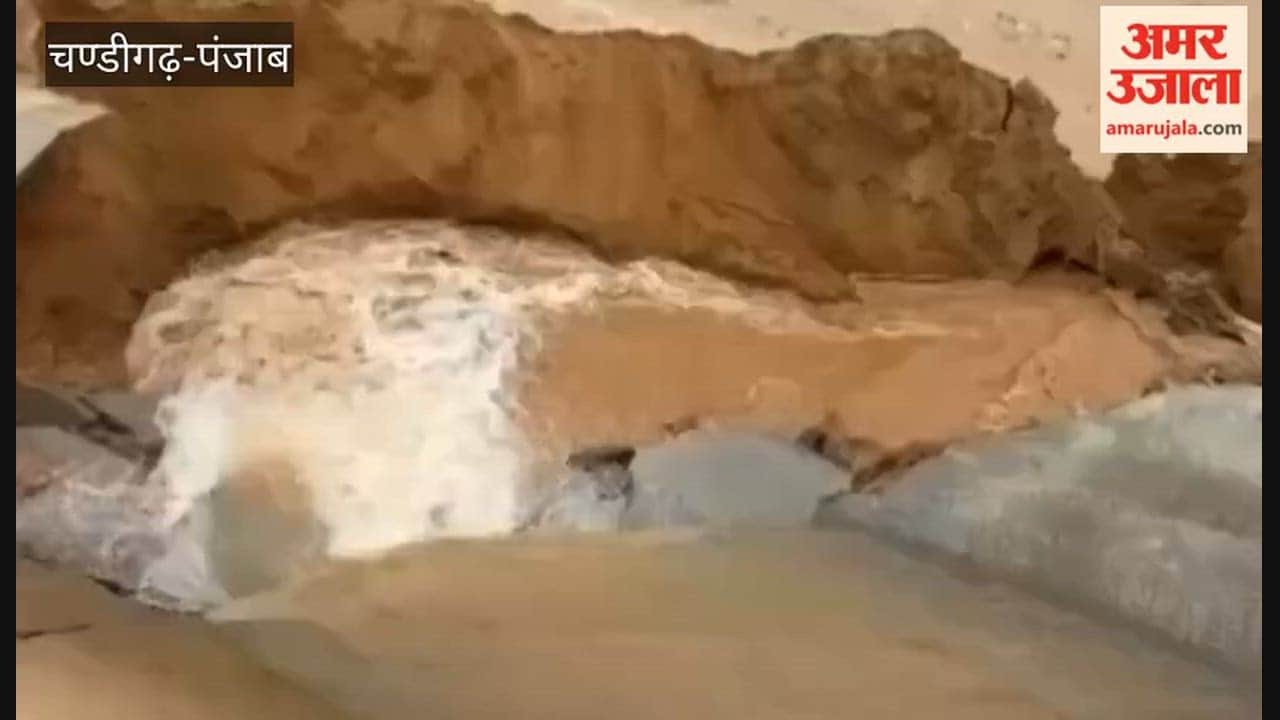 Embankment of the Sue stream breaches in Jainar village; farmers' hard work goes to waste