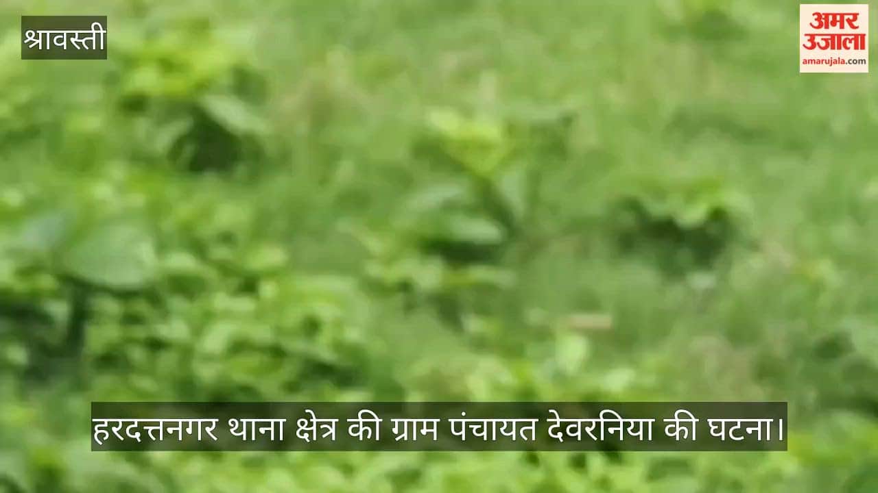 VIDEO : मामा से हुआ विवाद तो भांजे के घर में घुस कर तोड़फोड़ व लूट का आरोप, थाना प्रभारी पर कार्रवाई न करने का आरोप