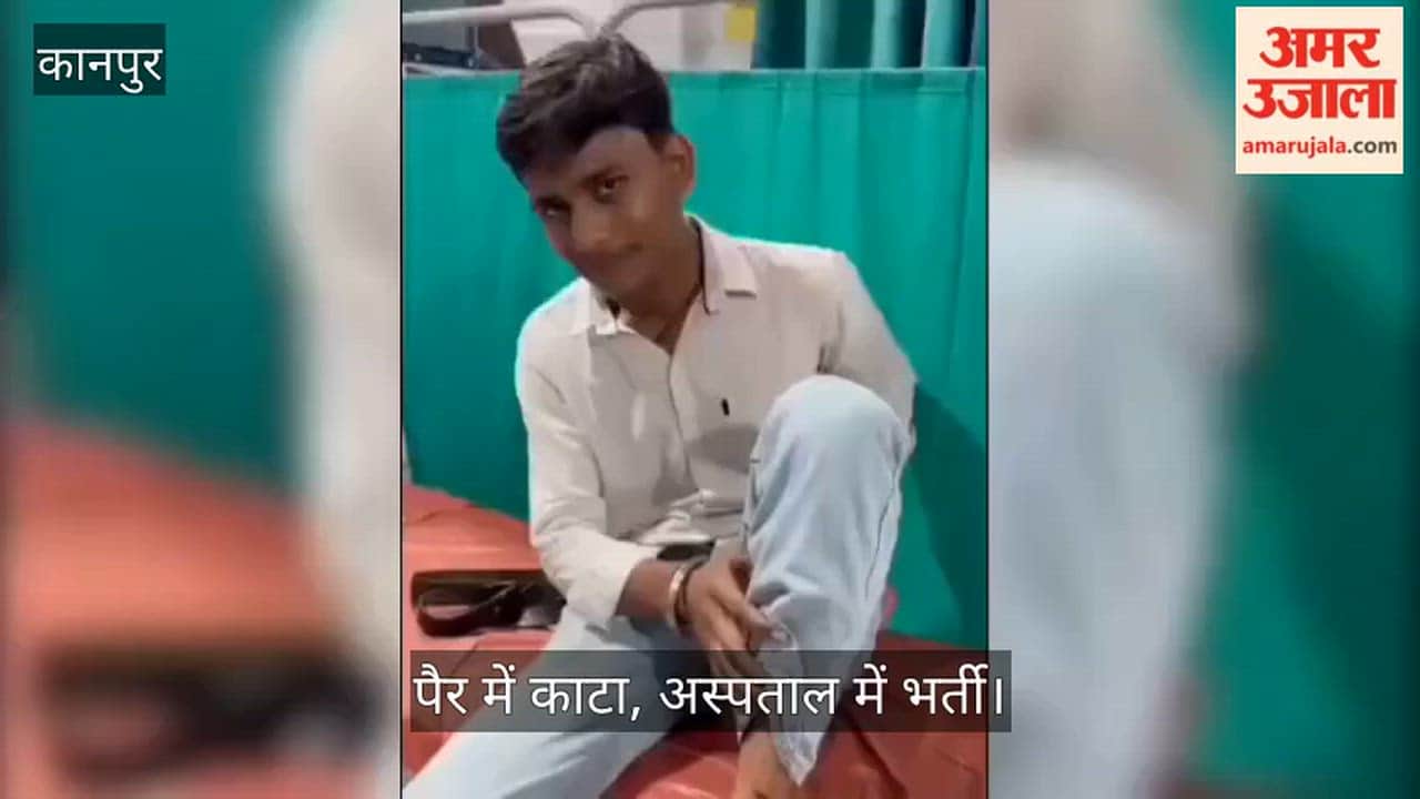 Kanpur Stray dogs attack Class 12 student on bike in Patel Nagar