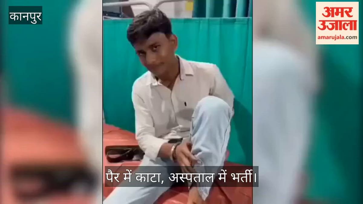 कानपुर: पटेलनगर में बाइक सवार 12वीं के छात्र पर कुत्तों ने किया हमला
