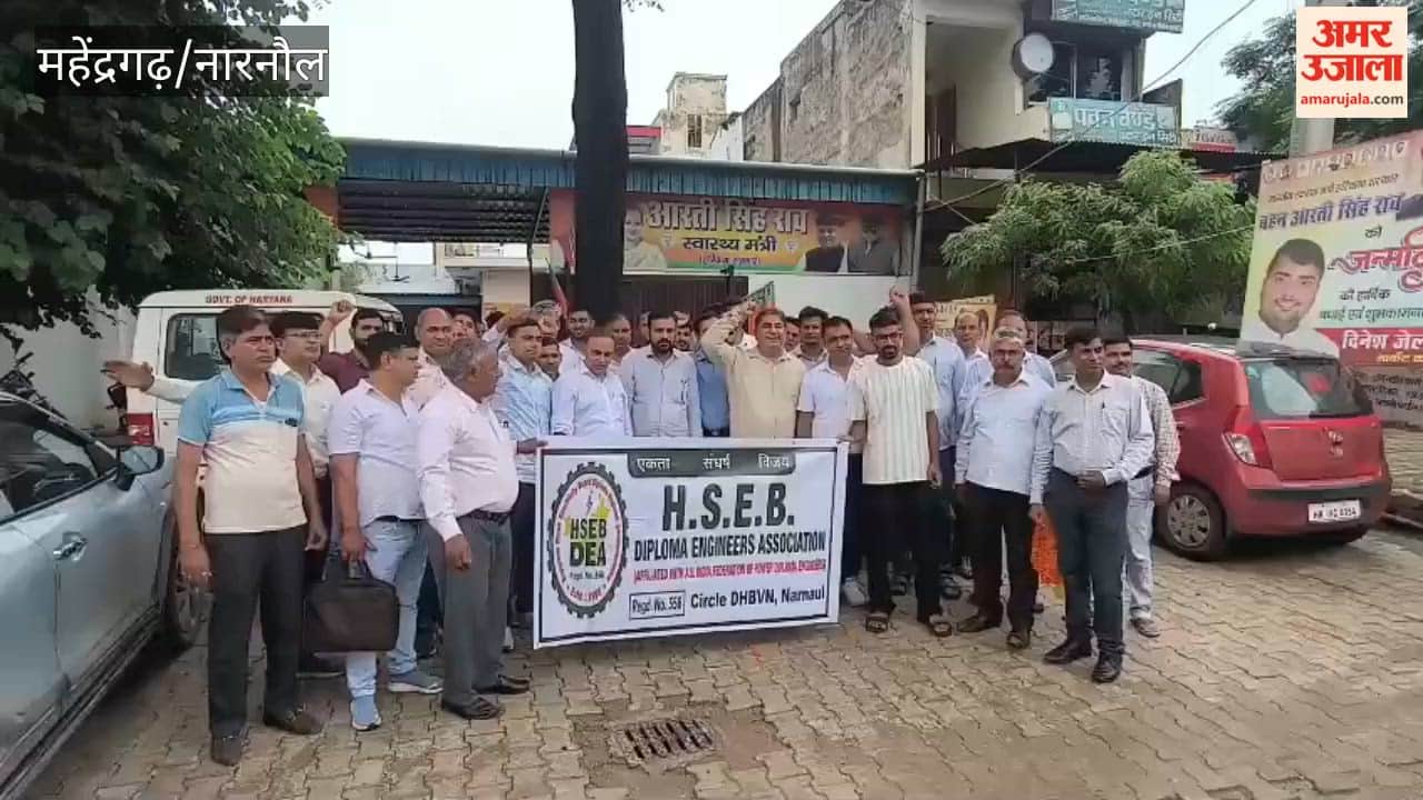 Junior engineers protest against the privatization of Haryana power utilities; warn of a strike.