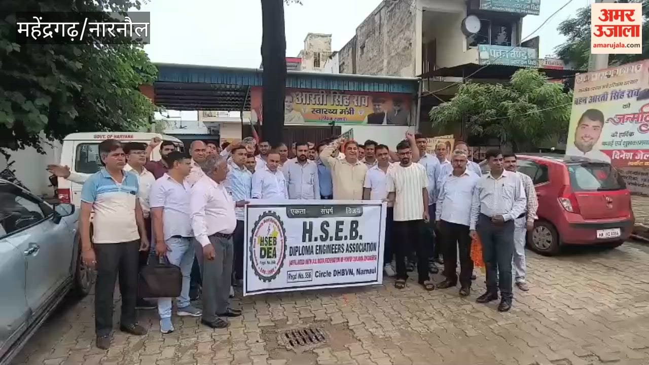 Junior engineers protest against the privatization of Haryana power utilities; warn of a strike.