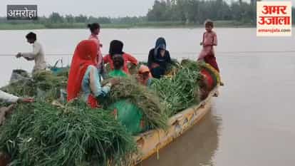 Ganga's water level drops by 10 cm in 24 hours; gauge at Tigri reaches 235 meters.