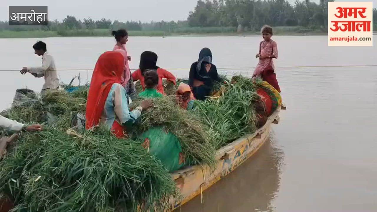 Ganga's water level drops by 10 cm in 24 hours; gauge at Tigri reaches 235 meters.