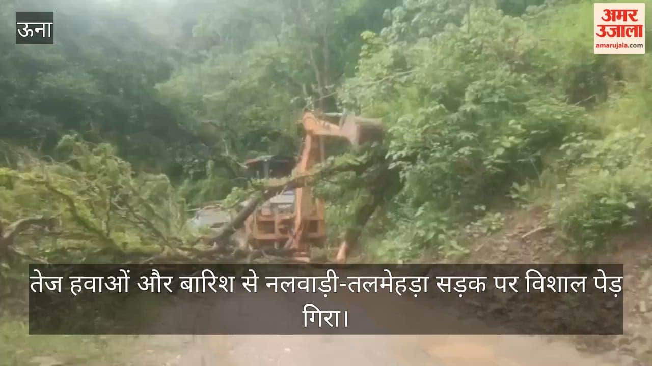 hamirpur tree fell on nalwadi talmehda road traffic restored after four hours
