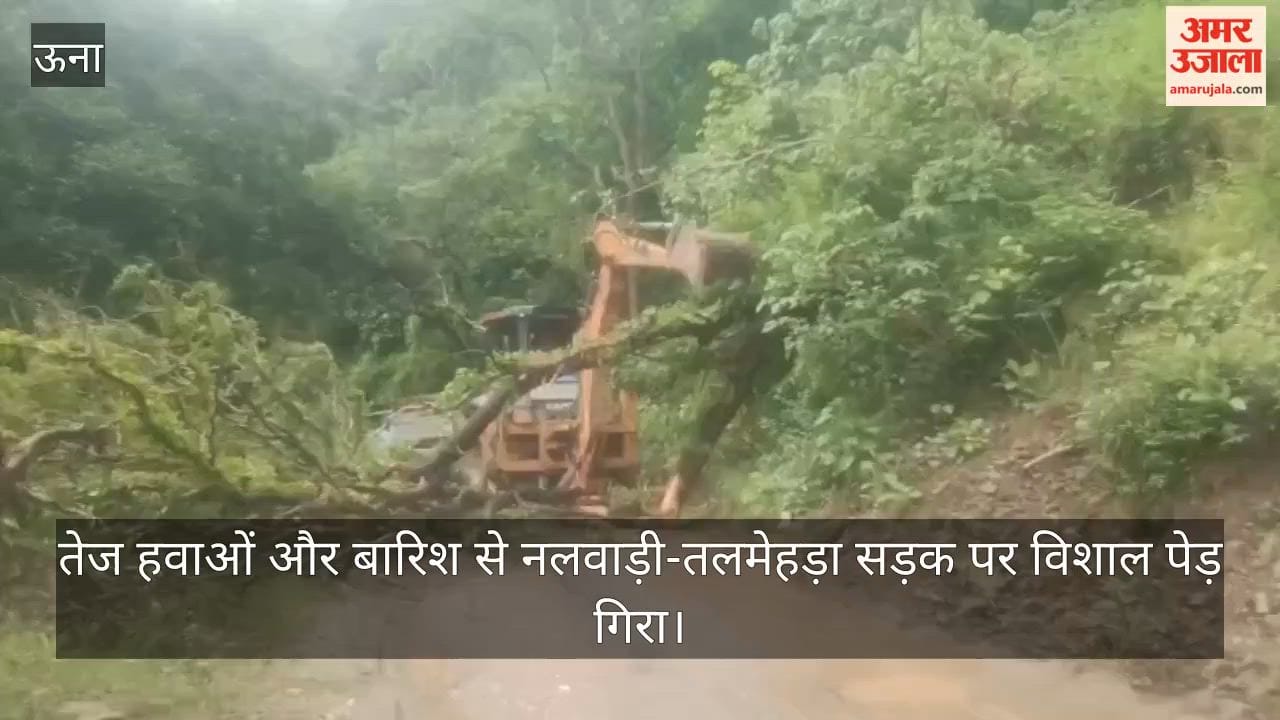 hamirpur tree fell on nalwadi talmehda road traffic restored after four hours