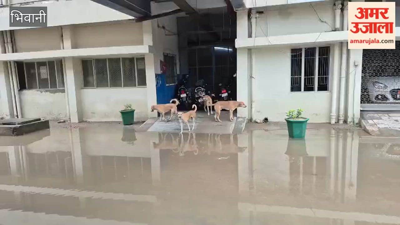 Bhiwani has been inundated by intermittent rain for the past eight hours.