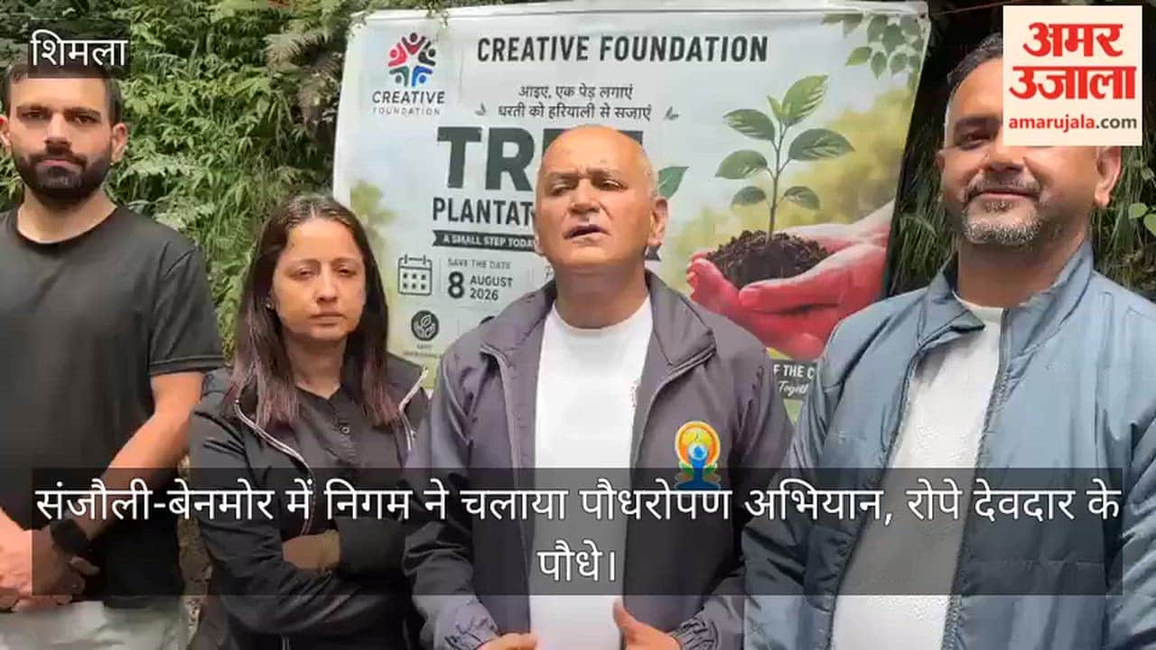Municipal Corporation conducted a plantation drive in Sanjauli-Benmore and planted Deodar saplings.
