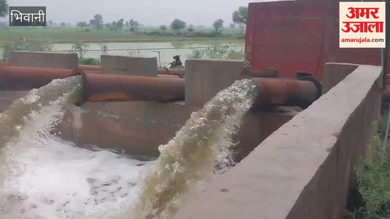 Excess water from Ghaggar Drain diverted into Ningana Feeder; risk of disease increases in bhiwani