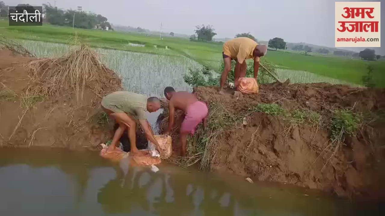 Embankment of Shikarganj distributary breached; farmers took charge themselves