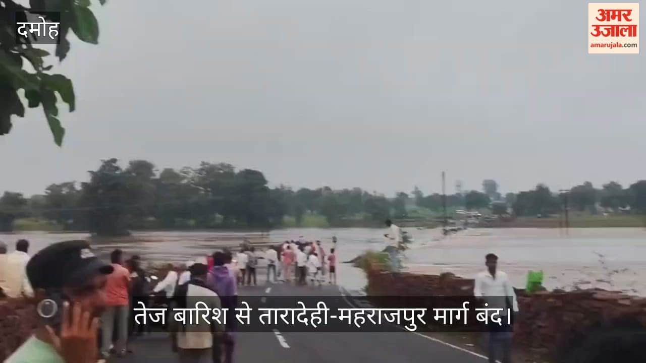 Damoh Heavy Rain: Vyarma River Overflows, Traffic Disrupted