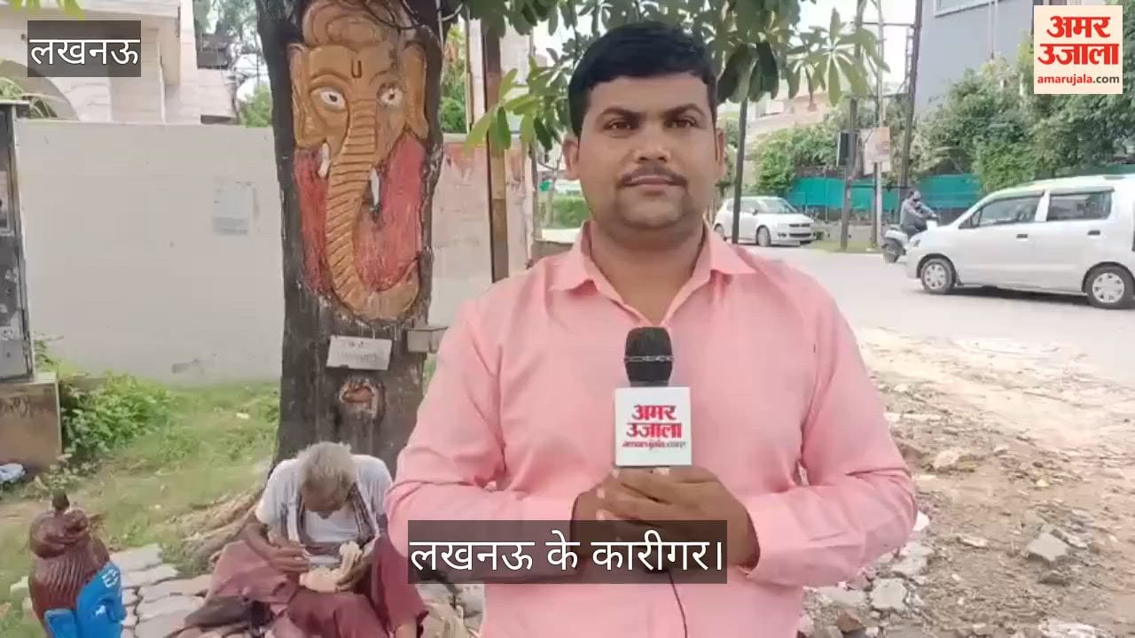 लखनऊ: 80 की उम्र में हुनर बना सहारा, पेड़ों पर उकेर रहे भगवान की आकृतियां
