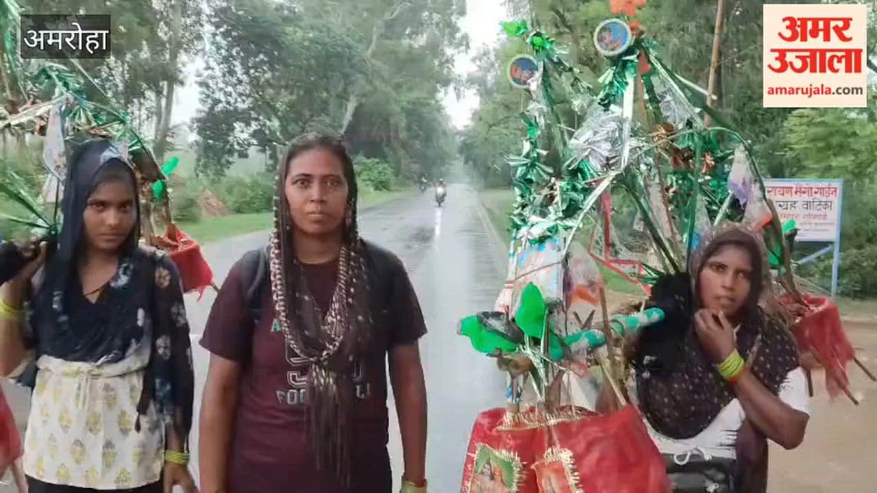 Anita was walking back from Haridwar carrying a *Kanwar* with her sister-in-law Asha when the sound of a newborn's cries echoed in the home.