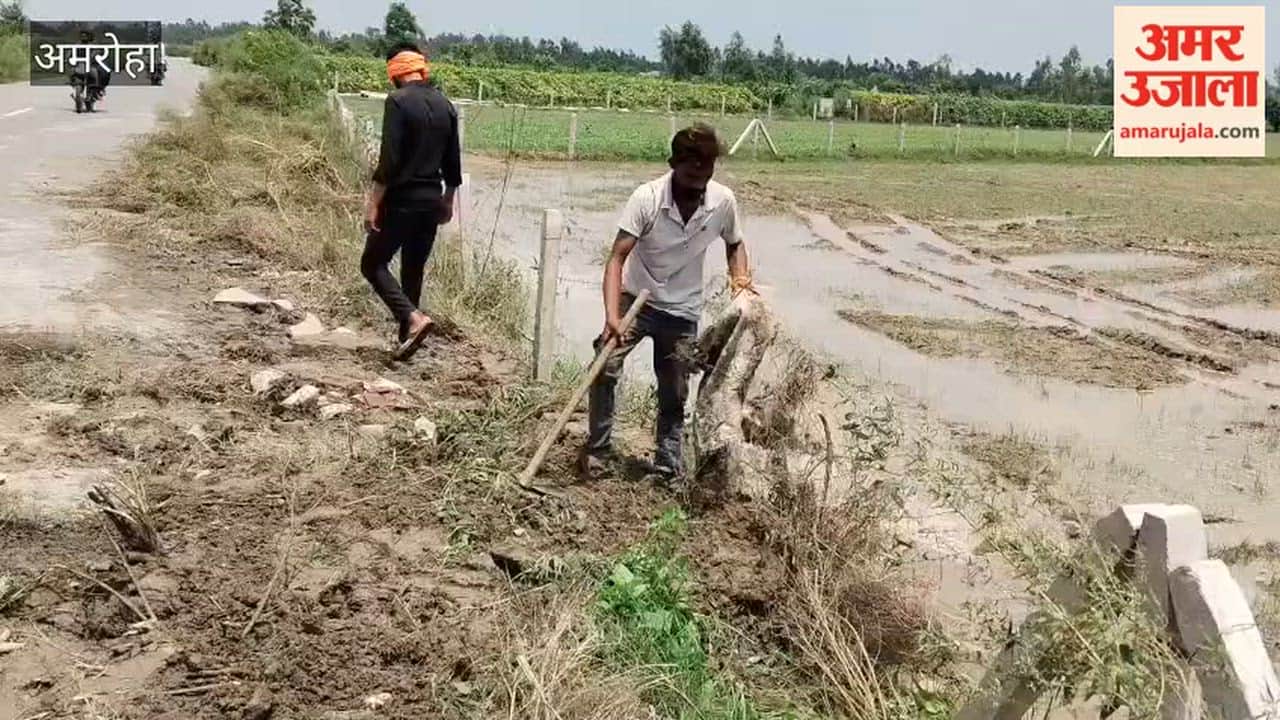 Farmers struggle to save their crops from floods