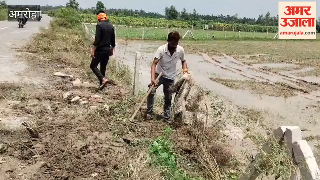 Farmers struggle to save their crops from floods