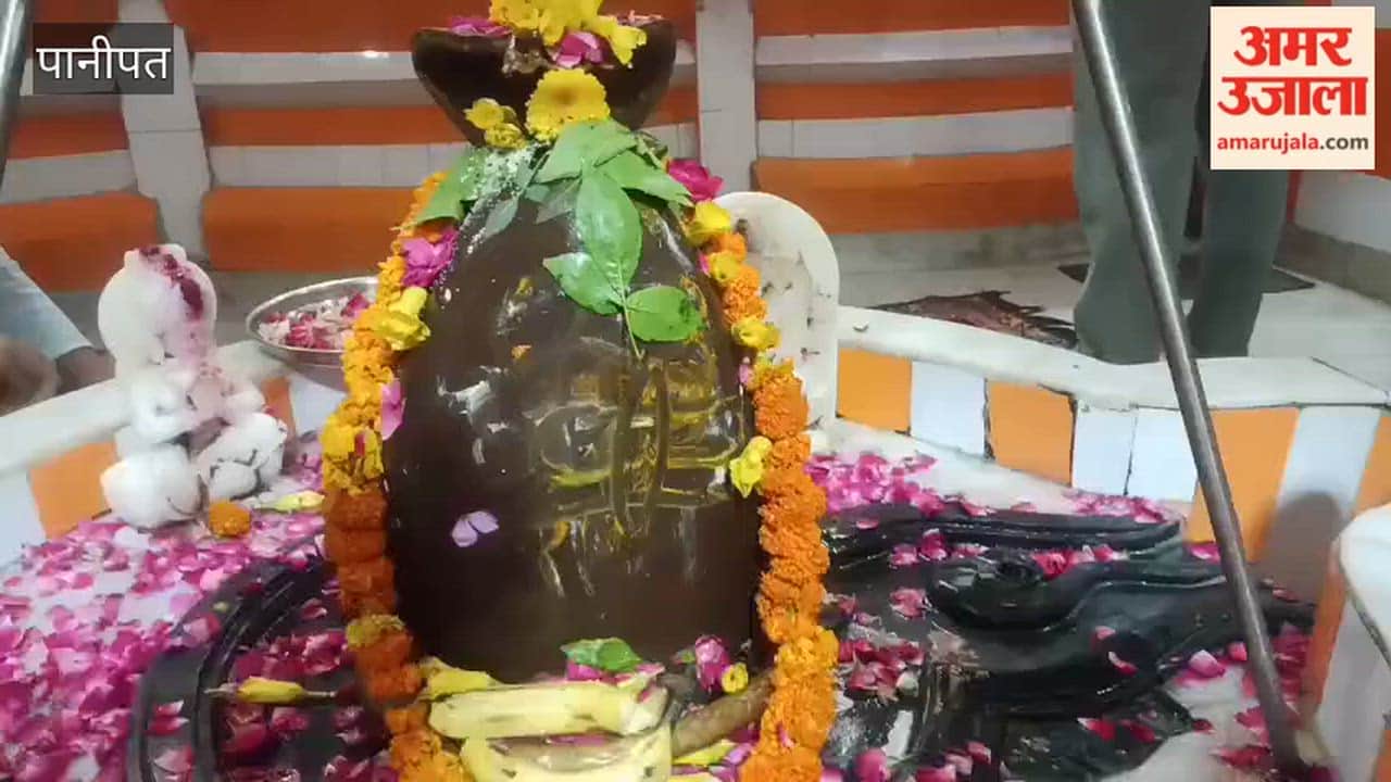 Crowds of devotees gathered at Shiva temples on the Sundays and Ekadashi of the month of Sawan; temples in Panipat resonated with the chanting of mantras.