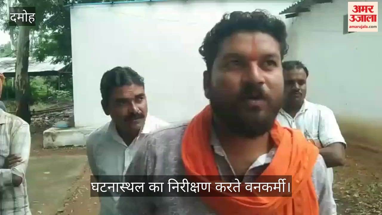 damoh-tiger-terror-forest-department-begins-monitoring