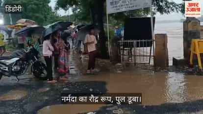 Narmada River Swells, Traffic Halted on Flooded Bridges
