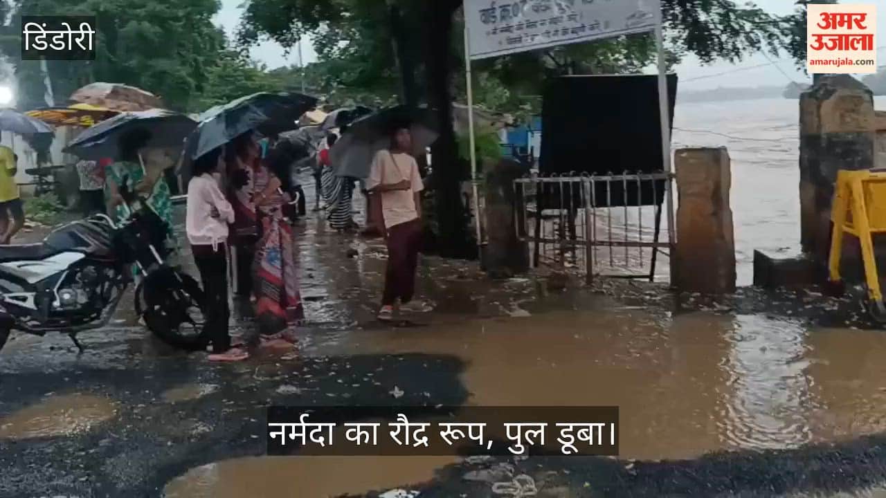 Narmada River Swells, Traffic Halted on Flooded Bridges