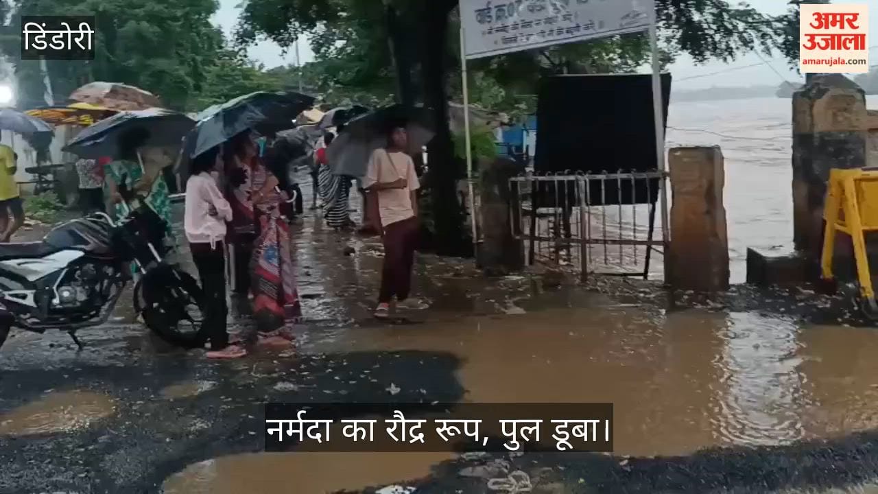 Narmada River Swells, Traffic Halted on Flooded Bridges