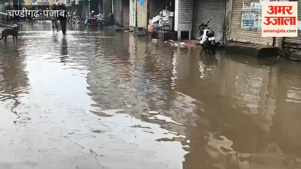Rain in Punjab Muktsar