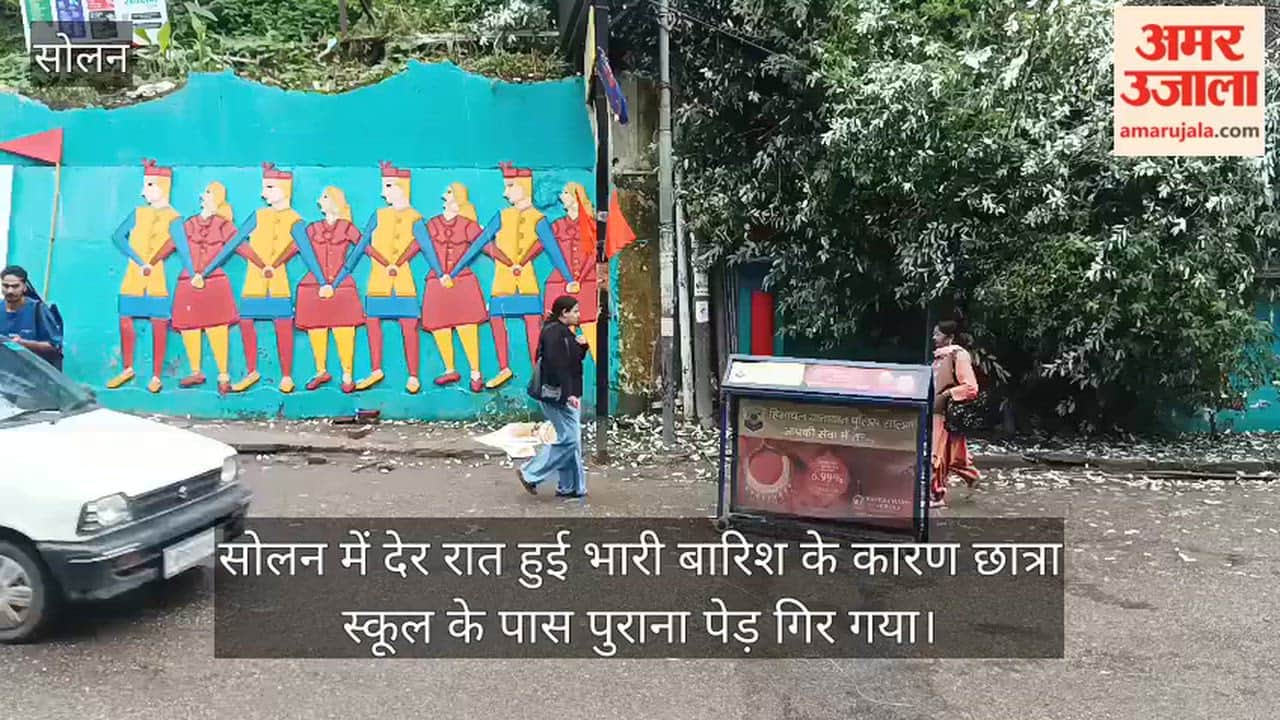 solan heavy rain tree falls near girls school mall road accident averted