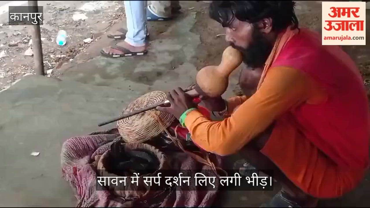 Kanpur Black cobra found in general store snake charmer called in to capture it