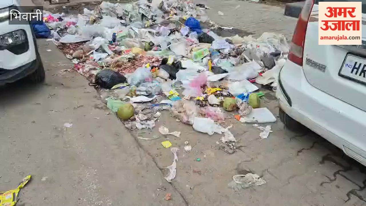 Sanitation workers' strike casts a shadow over cleanliness in Bhiwani.