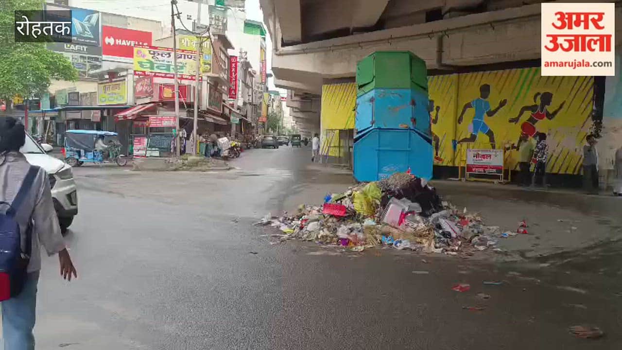 Over 250 tonnes of garbage strewn across Rohtak's roads; waste dumped at Sheila Bypass Chowk after vehicle breakdown.